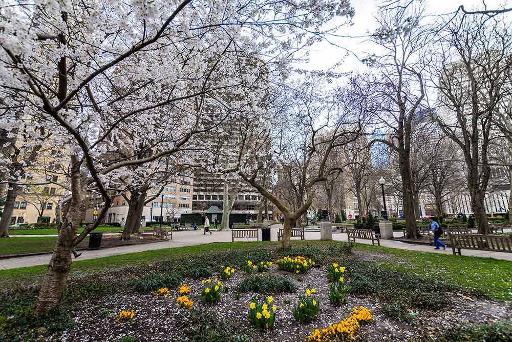 Where to stay in Philadelphia - Rittenhouse Square