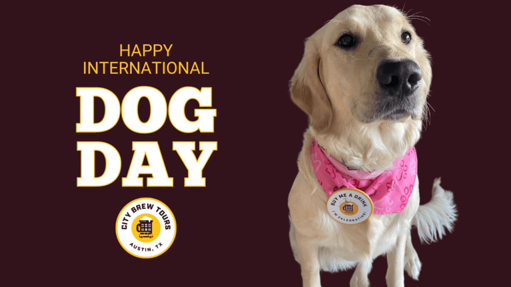 Arty - Happy International Dog Day