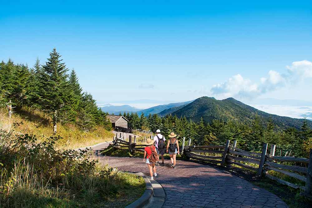 Mount Mitchell State Park