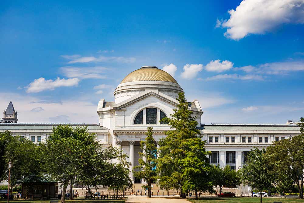 Free museums in DC - National Museum of Natural History